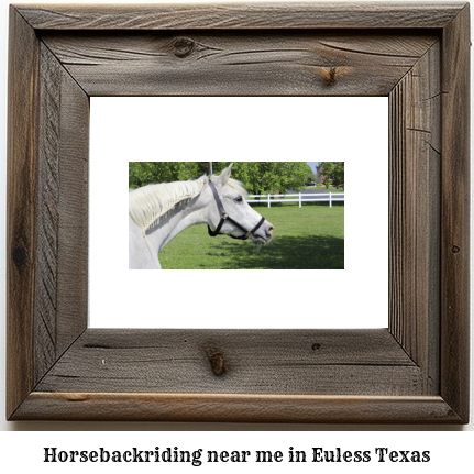 horseback riding near me in Euless, Texas